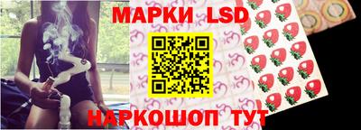 гидропоника Краснокаменск