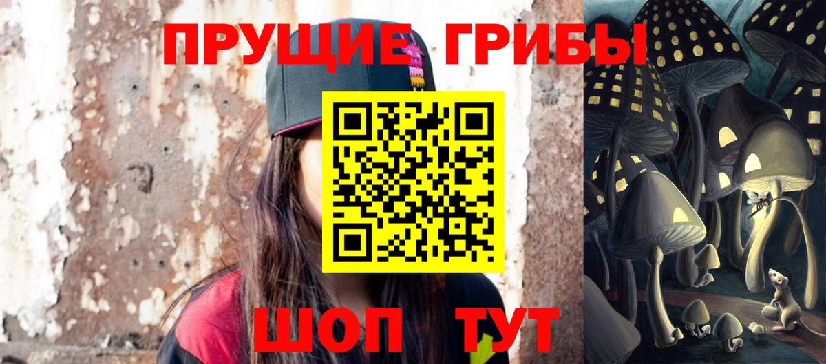 Красноармейск  Псилоцибиновые грибы прущие грибы  Вход с VPN  Галлюциногенные грибы ЛСД 